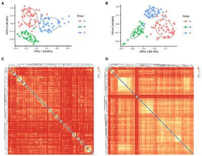 Investigation of bacterial and fungal population structure on environmental surfaces of three medical institutions during the COVID-19 pandemic